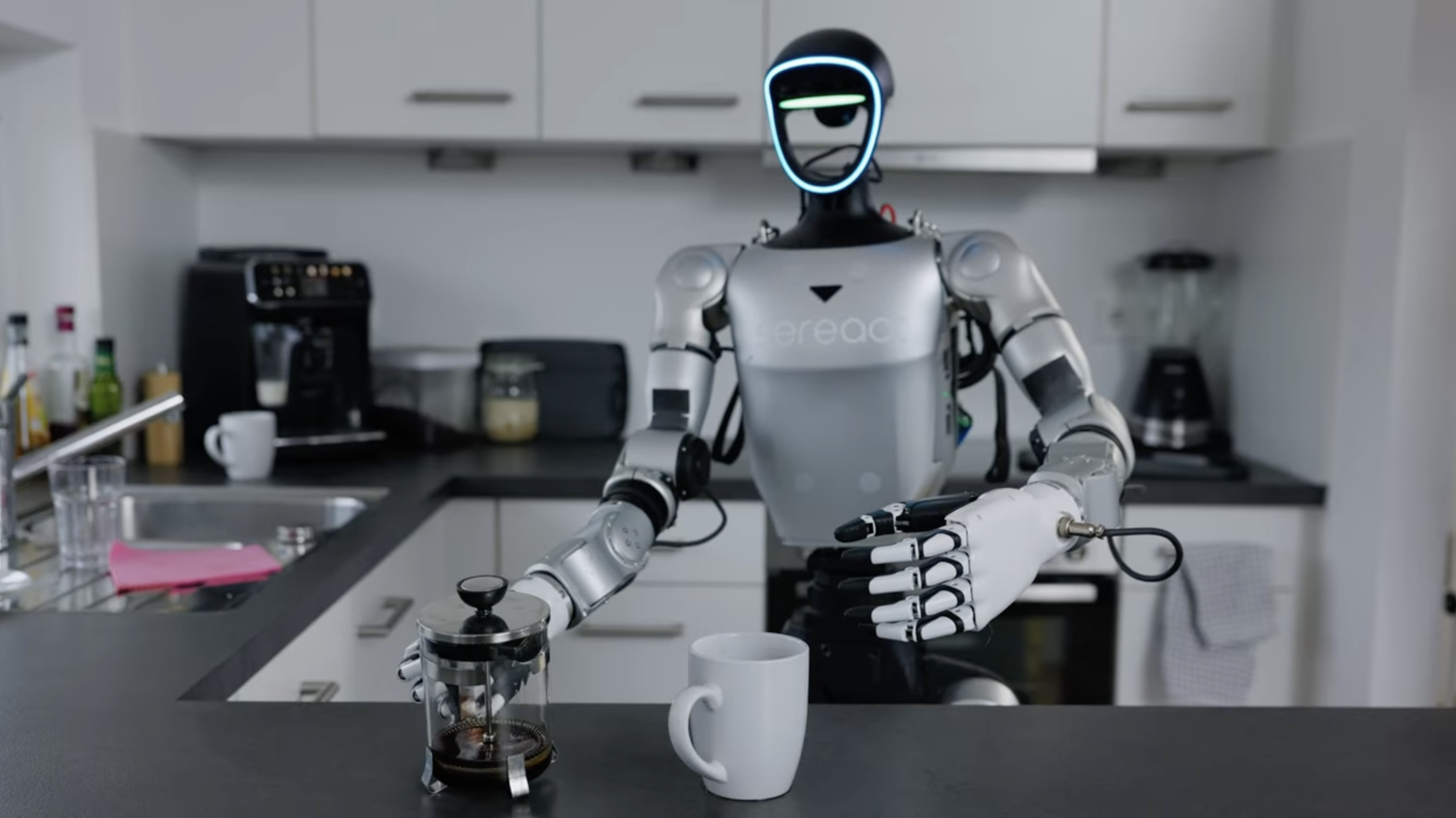 Humanoids in Household Environments